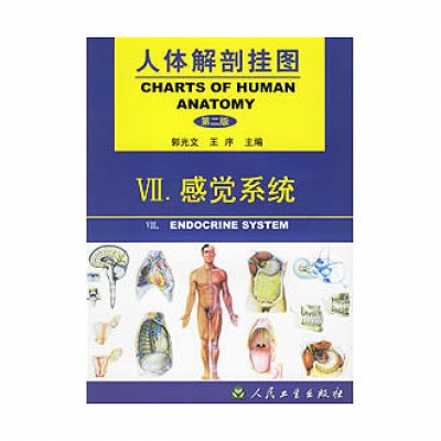 《人體解剖掛圖》-感覺(jué)系統(tǒng)掛圖(12張)