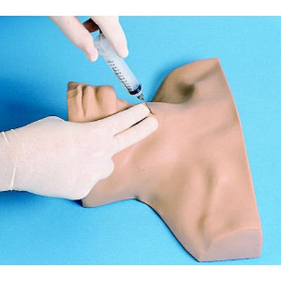 環(huán)甲膜穿刺模型