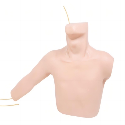 外周穿刺、中心靜脈穿剌插管模型