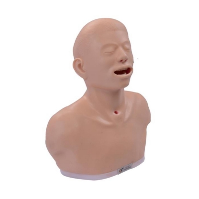 甲狀腺檢查訓練模型