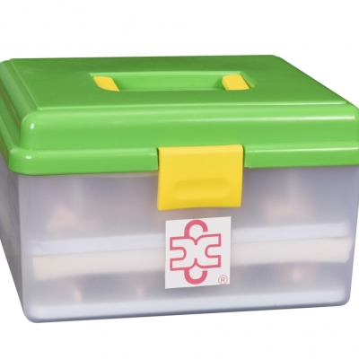 真人大小的椎柱分離模型