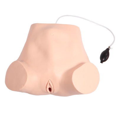 四步觸診、肛查、陰道檢查訓(xùn)練模型