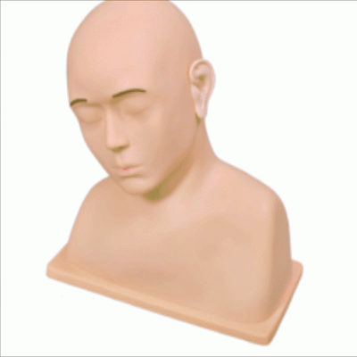  高級耳沖洗訓(xùn)練模型